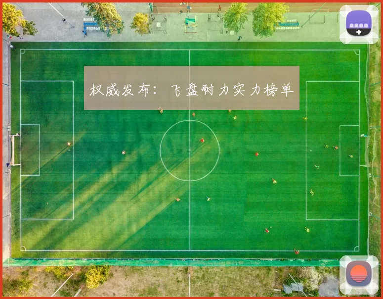 权威发布：飞盘耐力实力榜单