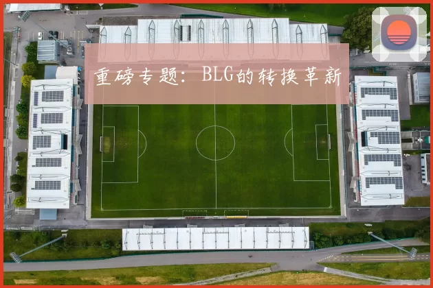 重磅专题：BLG的转换革新