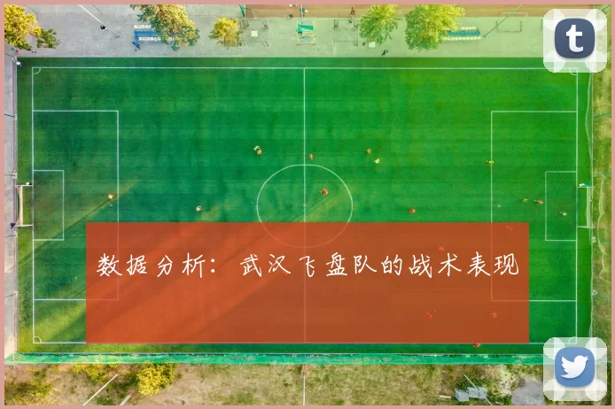 数据分析：武汉飞盘队的战术表现