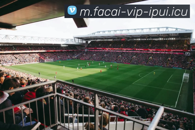 爱游戏体育平台生态图